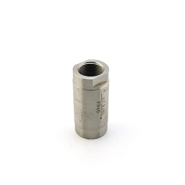 SPRING VERTICAL CHECK VALVE